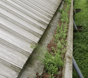 Happy customers in How Wood who trust The Roof Moss Cleaners for gutter cleaning services